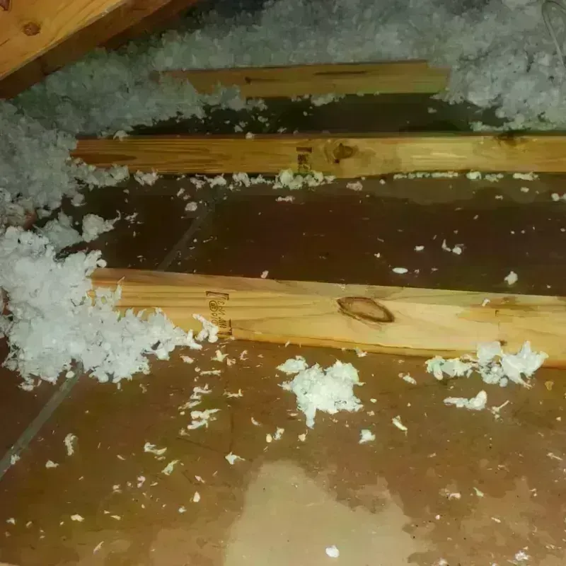 Attic Water Damage in North Mankato, MN