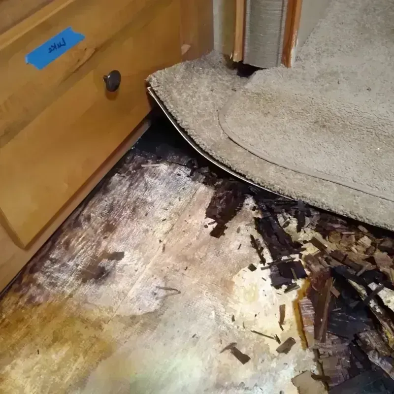 Wood Floor Water Damage in North Mankato, MN